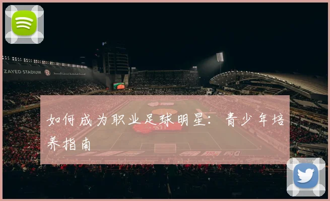如何成为职业足球明星：青少年培养指南